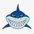 鲨鱼哥游戏解说 头像