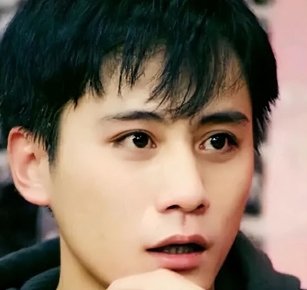 1999年,刘烨因主演电影《那山那人那gǒu》2002年主演《巴尔扎克与小