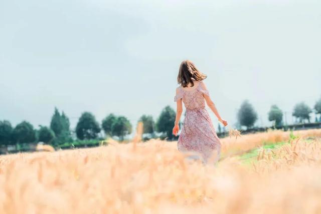 灵魂相似的人一旦相逢，灵魂相似的人一旦相逢必然是会被彼此吸引（总会兜兜转转遇见重逢）