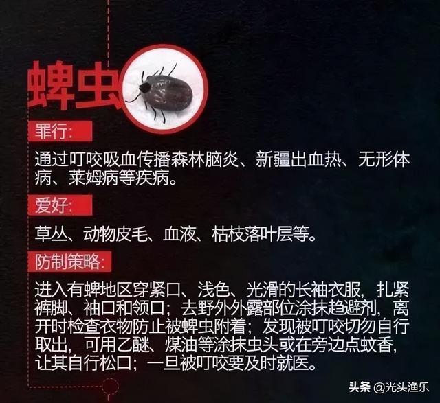 蜱虫有毒吗，蜱虫的危害（小时候拿来当“玩具”的蜱虫）