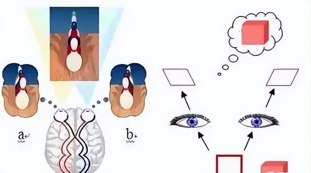 宇宙四维空间论，为什么人类想象不出四维空间