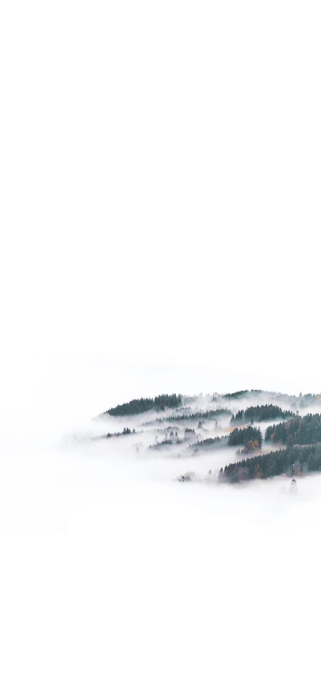 简短走心的文字背景图 怪我没有见过玫瑰，所以对野花情有独钟，最走心的图片文字（那一些念念不忘却没有回响的文案）