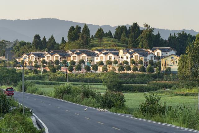 30年什么婚什么寓意，30年什么婚什么寓意好（农村俗语：“男不过三）