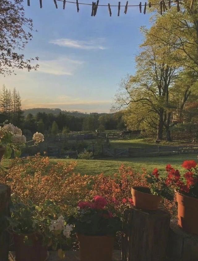 微信状态背景视频，微信怎么做状态背景视频（<有教程和配套农场状态背景图>）