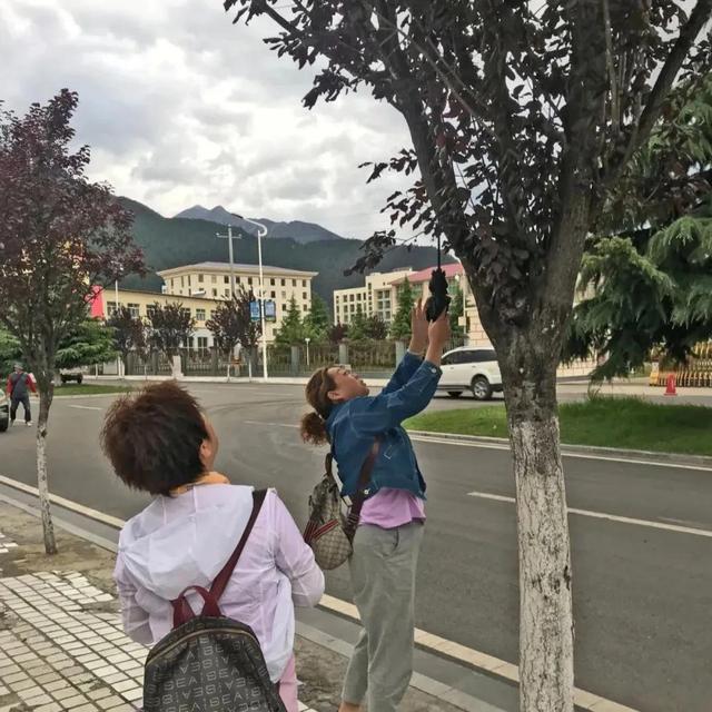 世界最大的峡谷，世界大峡谷（世界上最深的峡谷——雅鲁藏布江大峡谷）