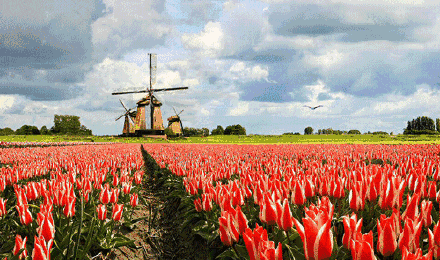 英国的英文全称，英国的简称（各个国家的英语-欧洲篇）