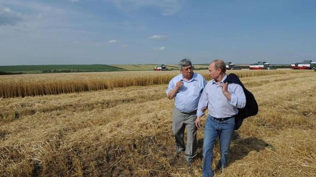 俄罗斯种子断供,中国种子会不会面临“卡脖子”?用数据来说话-图1