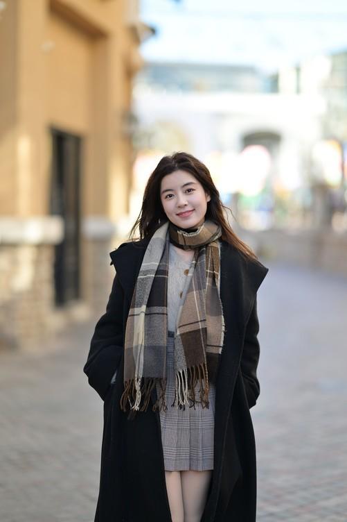 索尼黑卡rx10系列,类似单反风格,超大镜头,等效焦距超过24-200mm,恒定