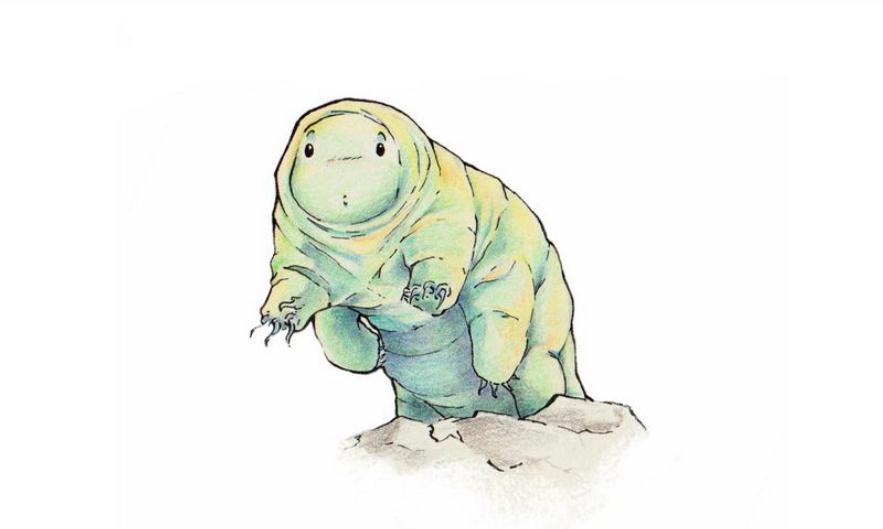 水熊虫寿命是多少年?1-10年(水熊虫生命很顽强的)