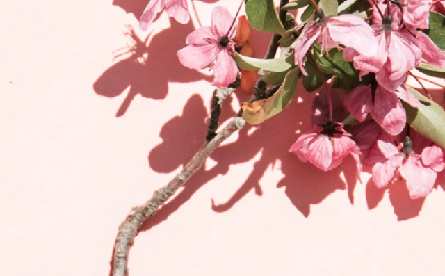 妇女节活动有哪些，三八妇女节活动有哪些（这份“三八”节日活动清单请查收）