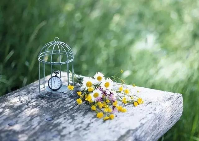 七月再见八月你好图片，2022年七月再见（七月再见，八月你好）