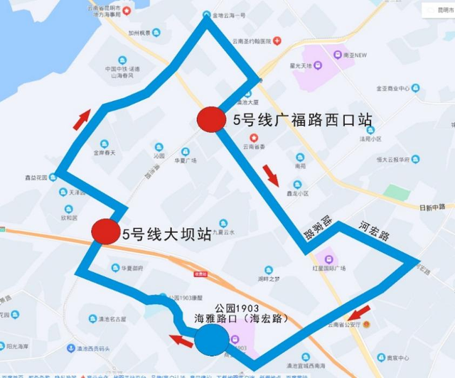 豹龟结石，昆明地铁5号线，首！发！见（肾结石会有啥症状）