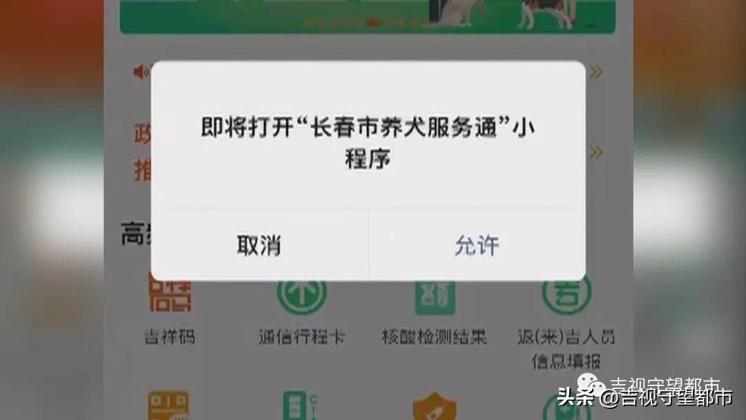 狗需要办理宠物证吗（国内养狗需要注意的法律规定）