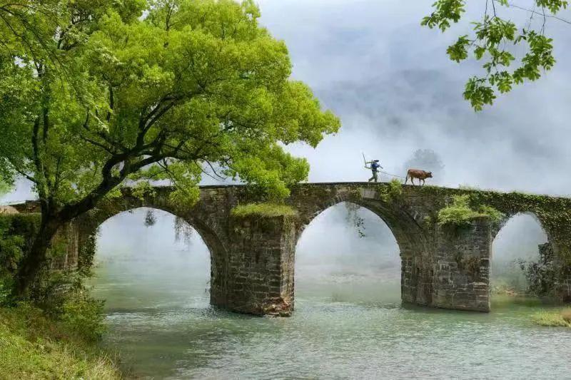 法院利息计算器（​违约金和破产申请受理前的加倍利息属于普通债权）