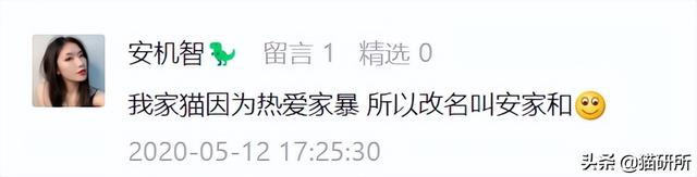 新浪微博名字大全，好听的新浪微博名字大全（让所有人都笑死在这些沙雕名字里）