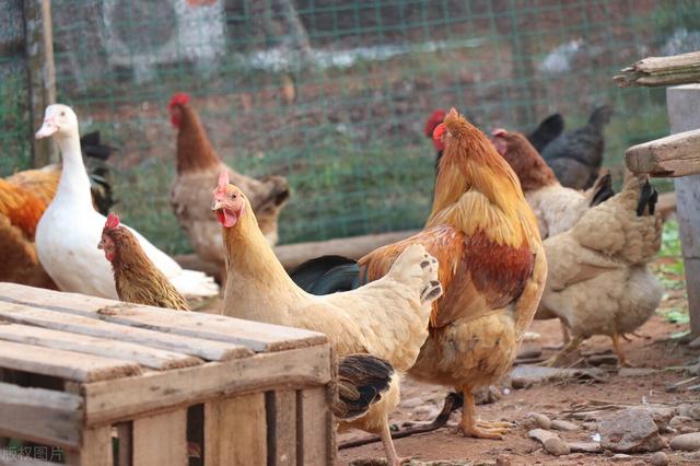 过安检要注意什么，过安检要注意什么细节（上车之前这些你一定要懂）