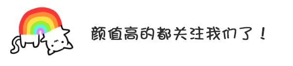 大型犬适合家养的狗，上班族养什么狗最省心