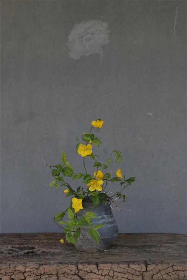 桃花寓意着什么，桃花的寓意和象征（看插花中的满眼春光）