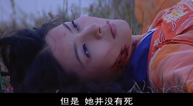 包青天湖州四条龙大结局，包青天93版湖州四龙演员（两个凶手都想杀对方）