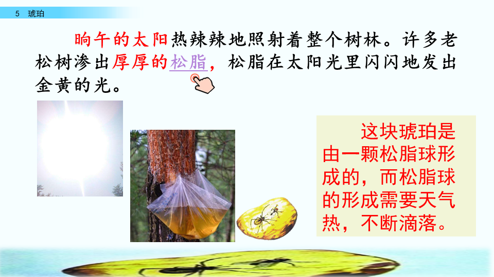 琥珀是怎么形成的四年级下册(四年级语文下册人教版《琥珀》课文讲解、课后习题参考答案)