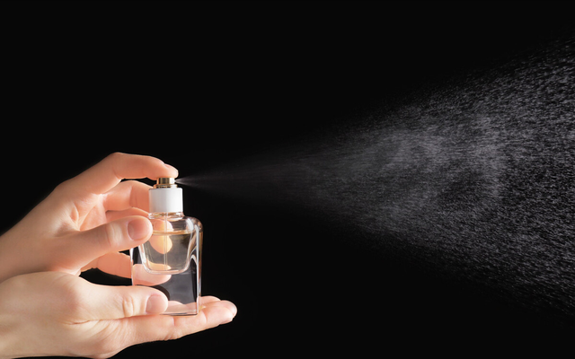 狗狗最害怕哪些东西，狗狗最害怕的7件事