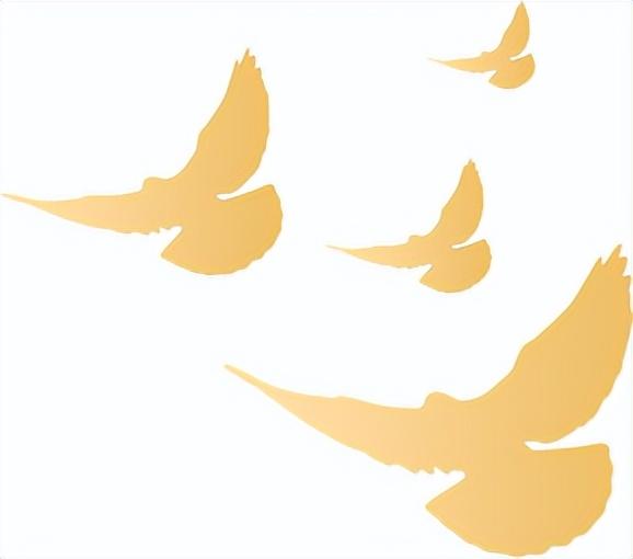 党的基层组织包括哪些，党的基层组织 包括（什么是党的基层组织）