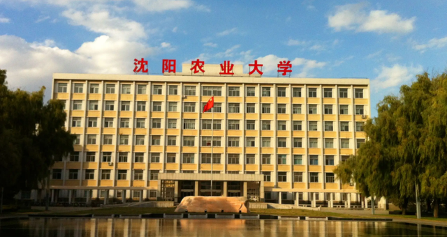 辽宁学校排名，辽宁学校排名一览表（2022辽宁高校排名更新）