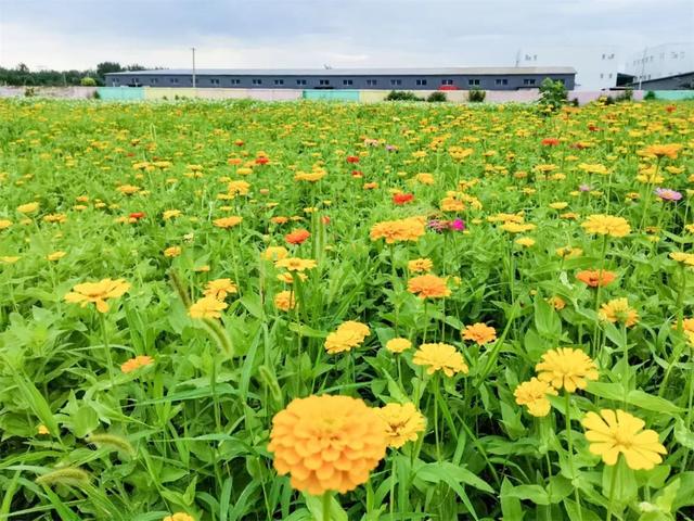 北京网红打卡地，北京必打卡的网红地你去了几个（去享受美食美景吧）