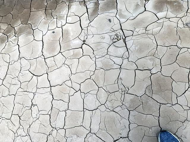 脸部能天天热敷吗，热敷脸有哪些功效与作用（面膜可以天天敷吗）