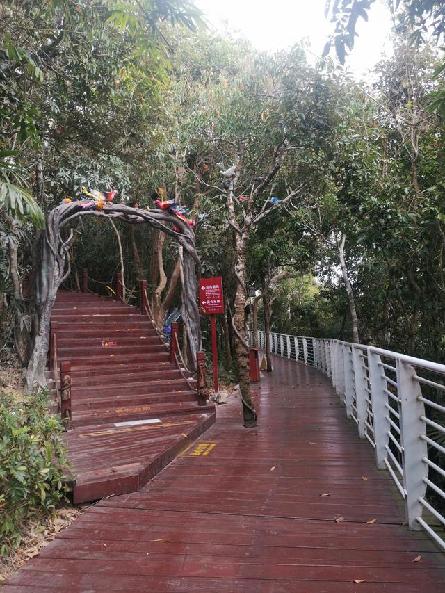 凤凰岭景区简介，海南之旅<5>——凤凰岭