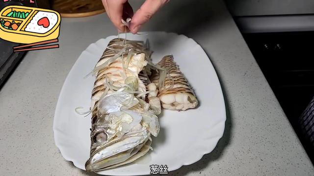 银龙鱼价格多少钱一只，龙鱼一般多少钱（可以先从饲养银龙练手）