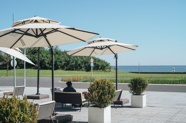 张震岳的《玩乐令》 歌词，张震岳的《玩乐令》（阿那亚，怎么住）