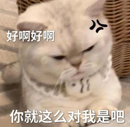 猫猫表情包，猫猫虫表情包（你家里是开幼儿园的吗图片）