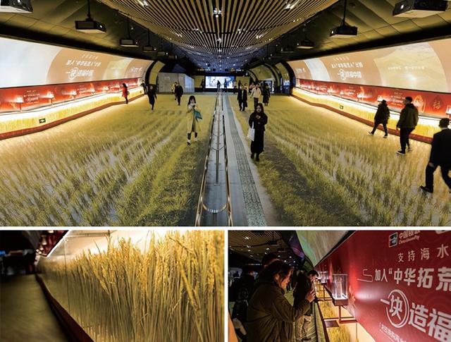 比较有创意的奖项名称，年会上有哪些有创意的奖项名称（创意鉴证中国广告——第21届IAI传鉴国际广告奖创意趋势解析）