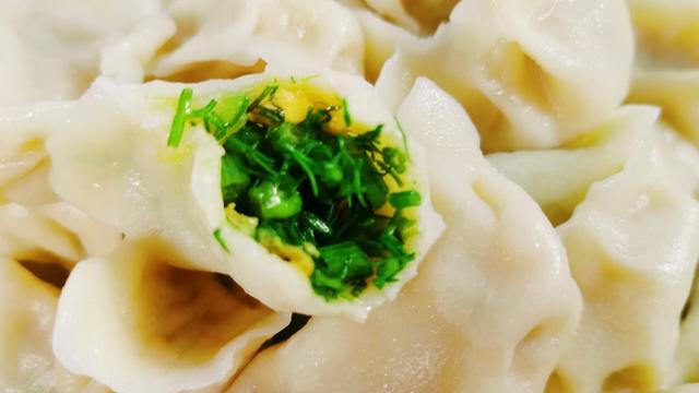 茴香的多种吃法，茴香怎么吃（隔三差五吃一顿）