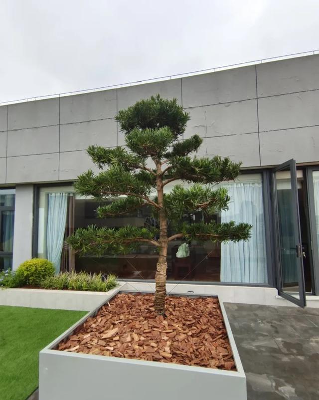 8层洋房住几层最好，8楼洋房最不建议买的楼层是哪层（花园洋房买几楼比较合适）