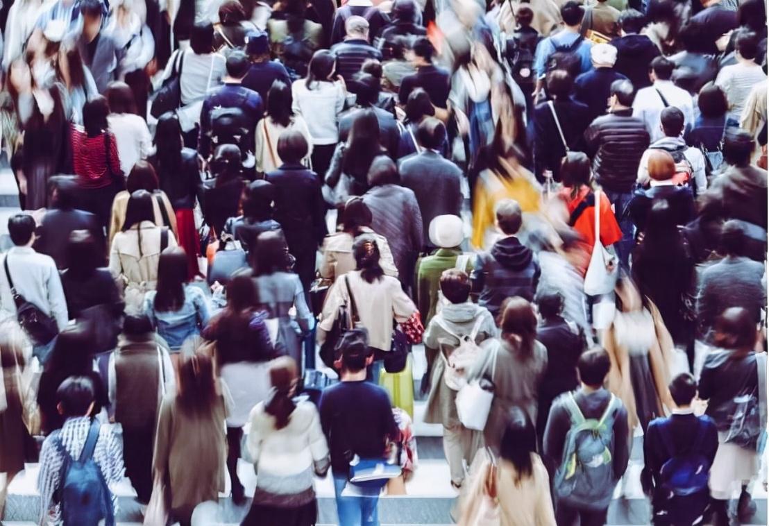 一般的违法影响政审吗（父母有了）