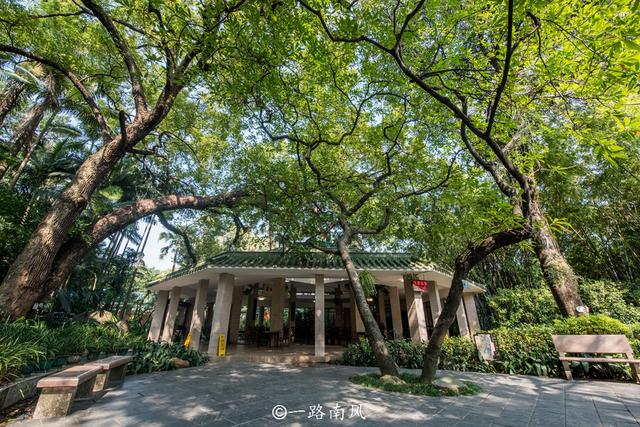 广州有什么好看的风景，广州有什么好看的自然风景（广州三个适合节日游玩的地方）