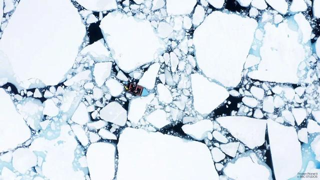 2022年番号作品封面大全，2022年十大日本女优排行榜（开年14部爆款佳片，必看！）