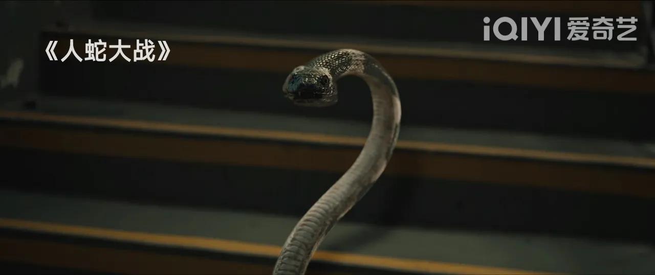 关于蛇的电影有哪些好看的？刚上映的这部片子不错，飙升榜第一