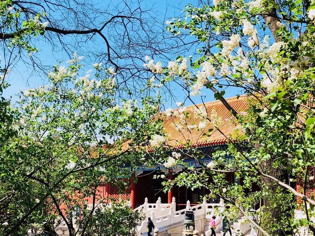 北京游玩攻略，北京攻略3日游自助游（这篇攻略全部告诉你）