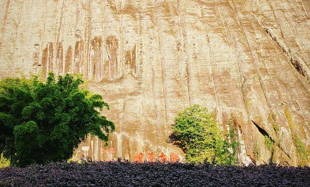 杭州二日游攻略，杭州二日游攻略自由行（杭州-武夷山二日游之绿野仙踪漫游道）