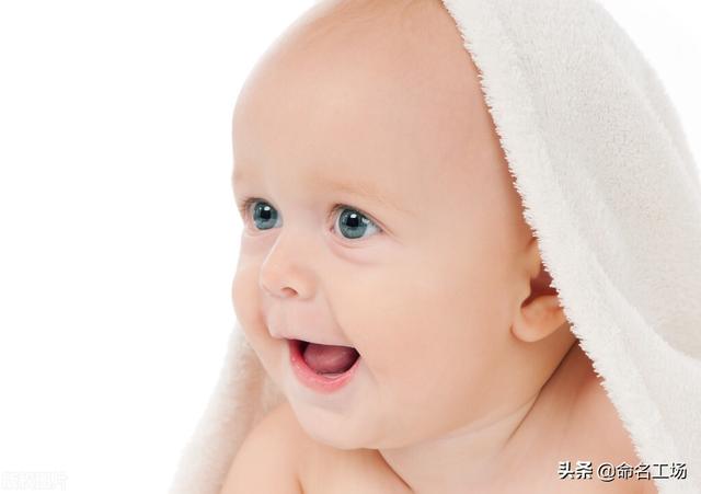 2022年的虎是什么虎，2022年属什么生肖（2022虎年男孩：浩海之气）