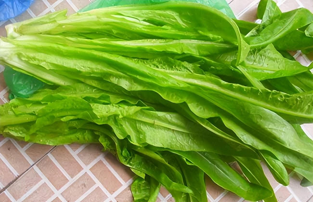 三种人少吃菠菜,谨慎食用油麦菜(了解为妙) - 郝囷科技