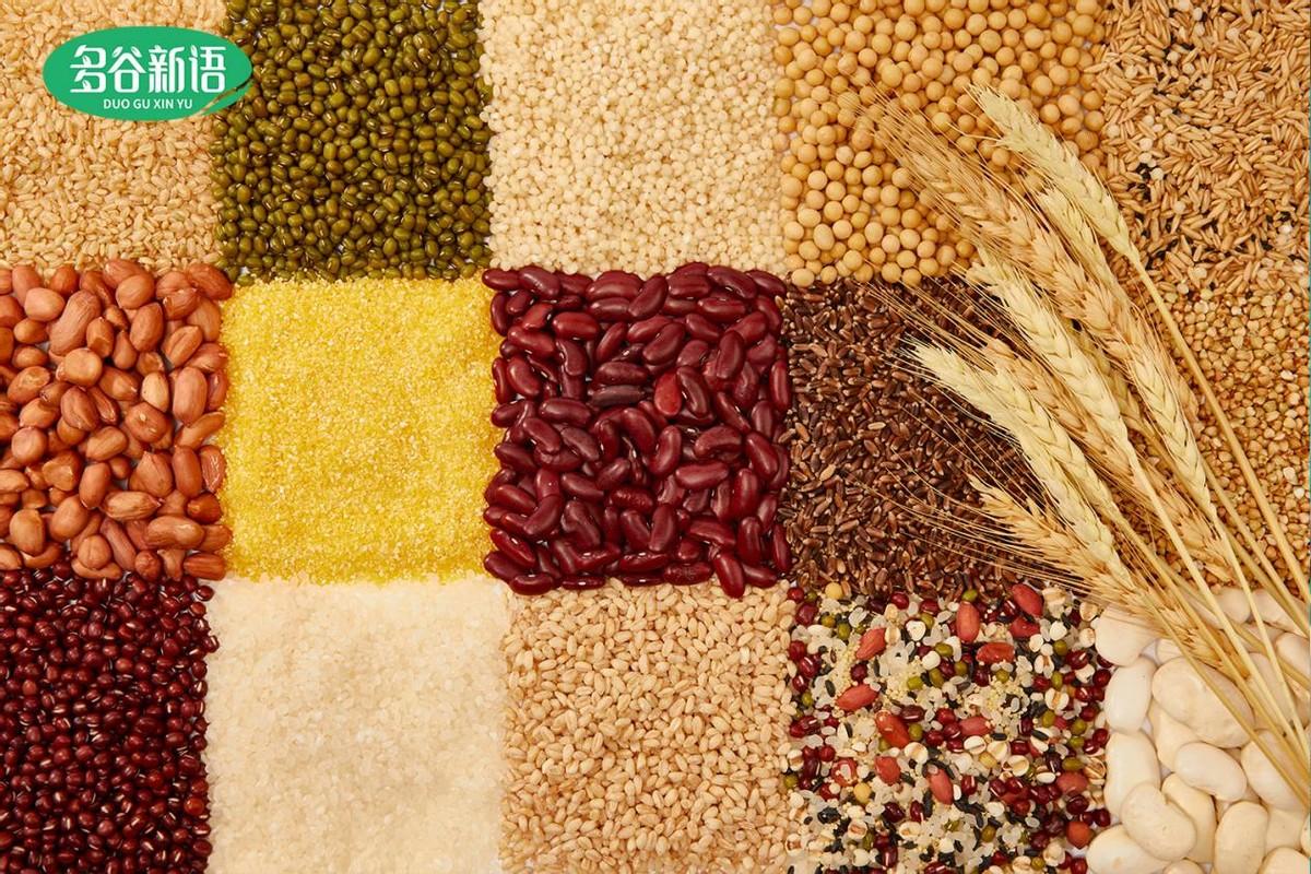 五谷杂粮有哪些品zhǒng(杂粮有哪些品zhǒng,杂粮饭有哪些杂粮,你