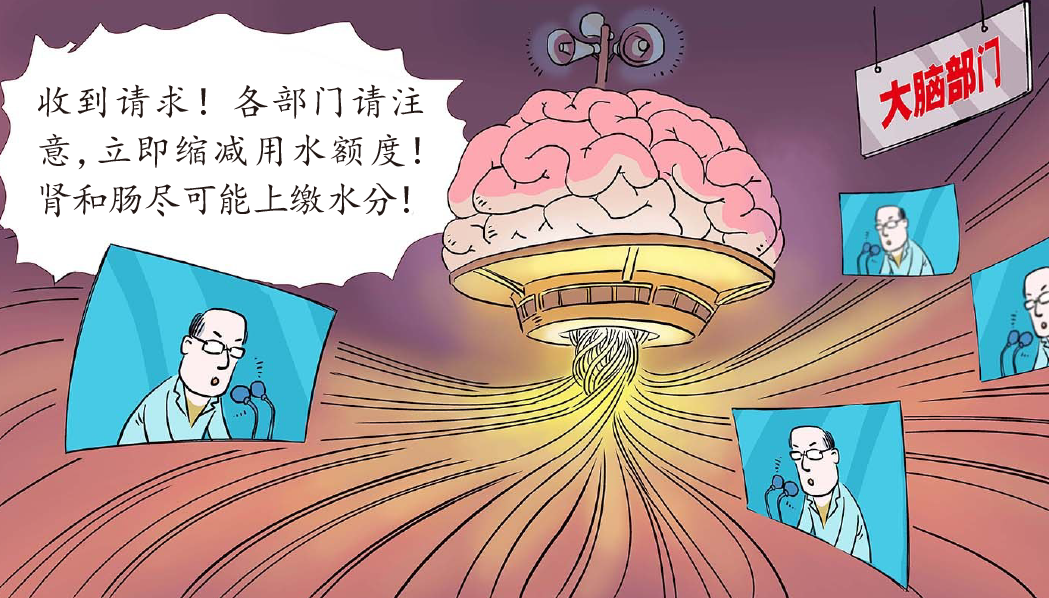 人体含水量百分比最高的器官是，人体含水量百分比最高的器官是什么（缺水时，身体各器官发生了什么）