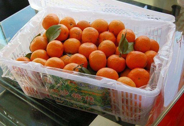 如何自制陈皮陈皮的做法，如何自制陈皮陈皮的做法步骤（吃不完的橘子皮别再扔了）