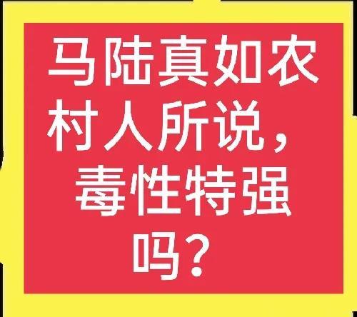 马陆虫怎么彻底消灭（马陆虫彻底解决妙招推荐）