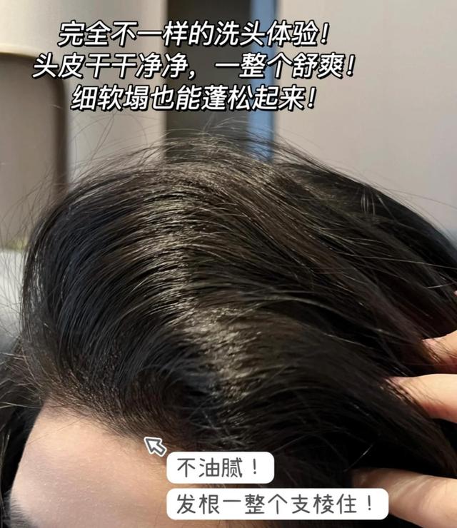 洗发水排行榜前十名无硅油洗发水，洗发水内卷还得看“国货”
