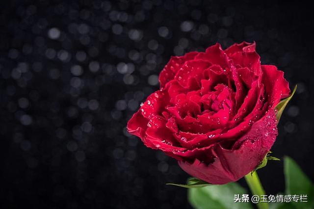 男人没放下前妻的表现，没放下前妻的表现（男人能忍多久不联系前妻）